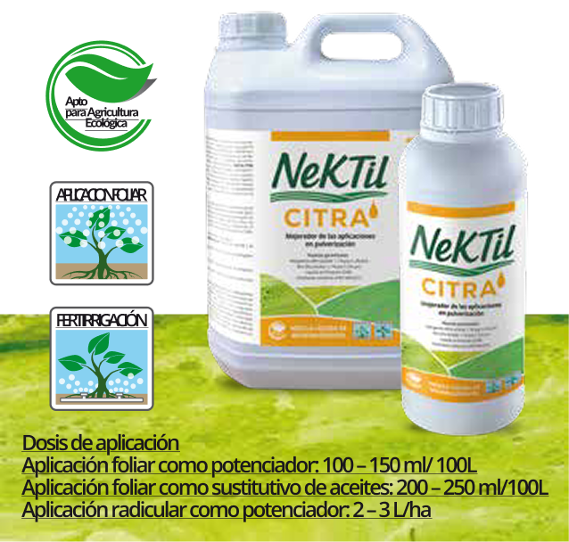 NeKTil Citra